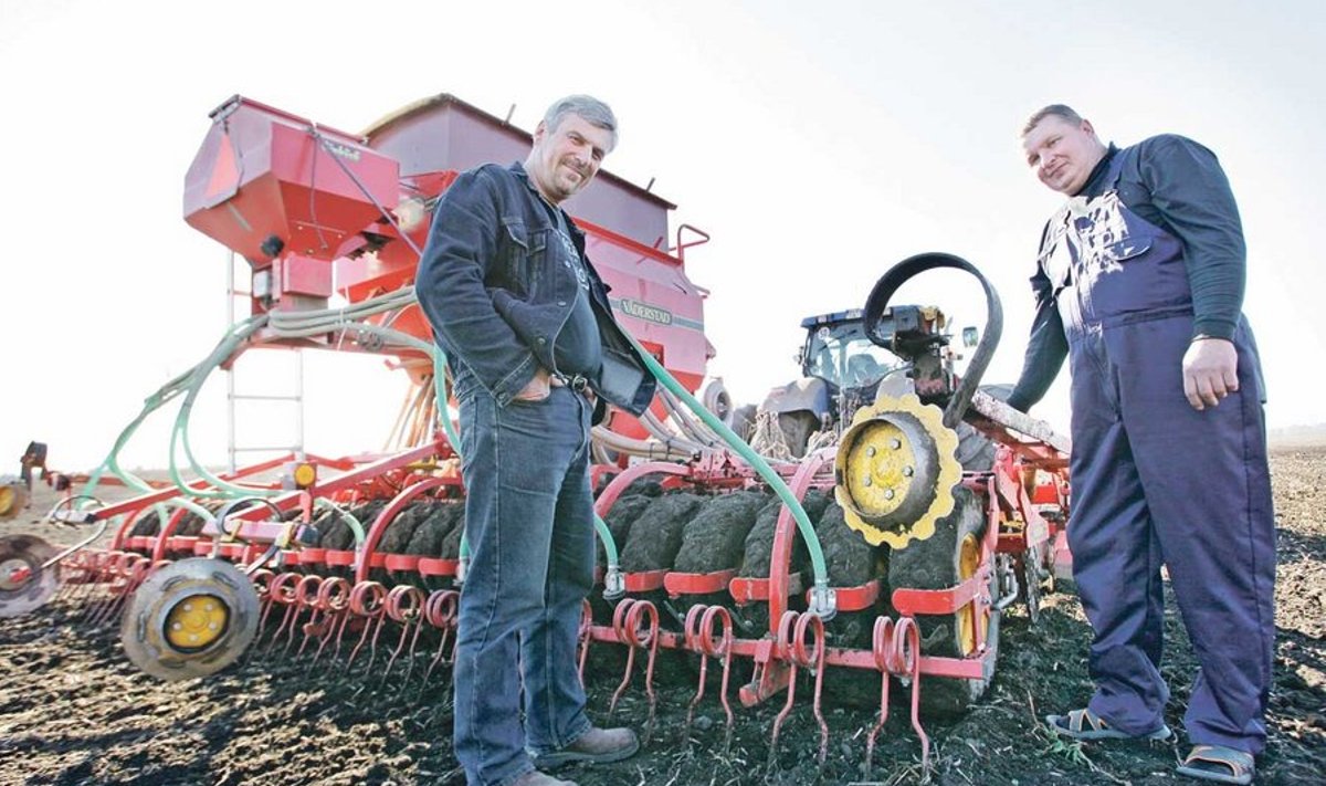 Pajusi ABFi juht Lembit Paal ja traktorist Meelis Kiis loodavad varase odra paari päevaga maha saada.