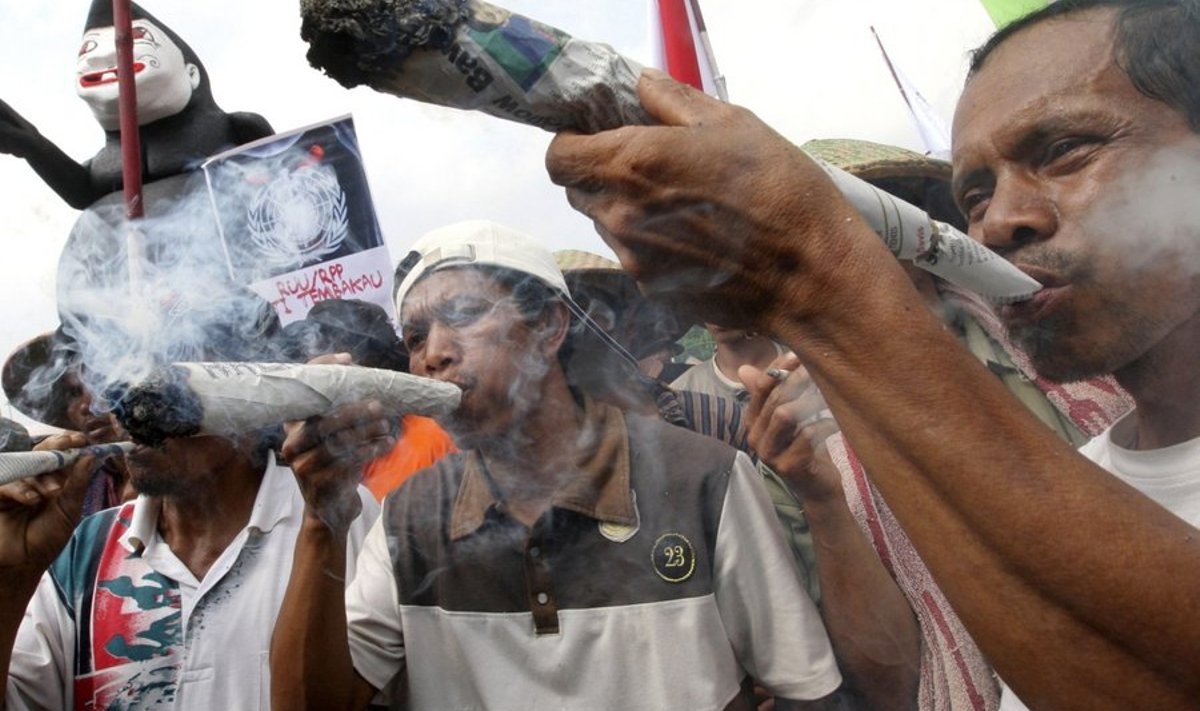 Ajalehepaberisse keeratud ämritäis tubakat on märk Indoneesia tubakafarmerite protestiaktsioonist. Foto Dita Alangkara, AP