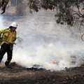 Tuul tõotab Austraalia põlengud taas lõkkele puhuda