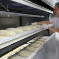FOTOD: Baltimaade suurim leivatööstus avas Sauel uue tehase