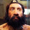 Iidne hoolekanne: hõimlased aitasid haigel ja kurdil neandertallasetaadil kõrge eani elada