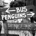 Bussi või pingviini suunas?