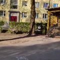 VIDEO | Tartu kesklinna eksinud kits sai auto all surma