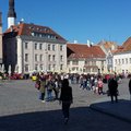 На Ратушной площади в Таллинне появится Масленичный лабиринт