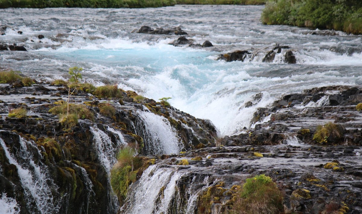 Islandi jõgede vahutavad veejoad võtavad pilgu pikaks ajaks vangi.