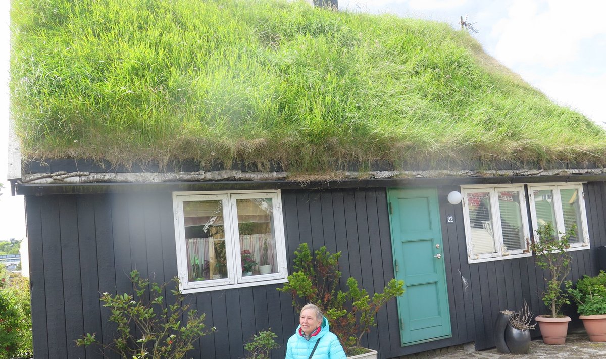 Mätaskatusega majad Torshavnis.