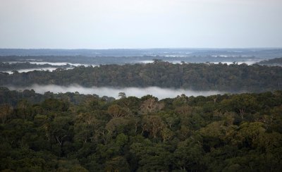 Amazoni vihmametsad