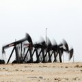 Выбраться из нефтяной ловушки: что власти России делают не так?