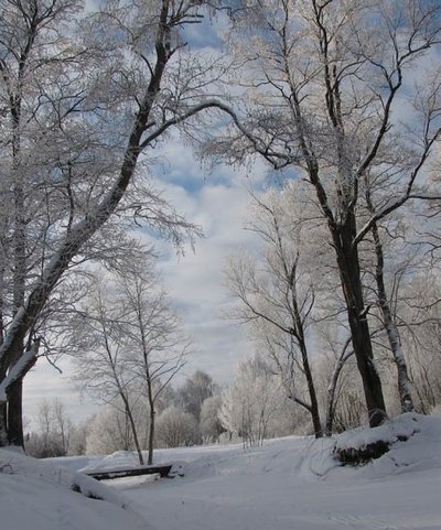 Omamoodi ilus on park ka talvel. Foto: Inge Angerjas