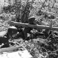 Ajakirjast Sõdur: Eesti Diviisi lagunemine augustis 1944