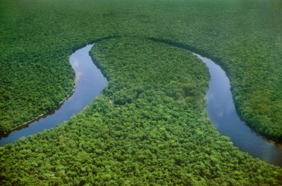 Kongo vihmametsad