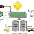 Uudset biokütust tehakse veest ja päikesevalgusest