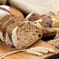 Millisest rukkijahust küpsetatud leib on parim?