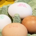 Rimi планирует к 2025 году прекратить продажу яиц от кур, выращенных в клетках