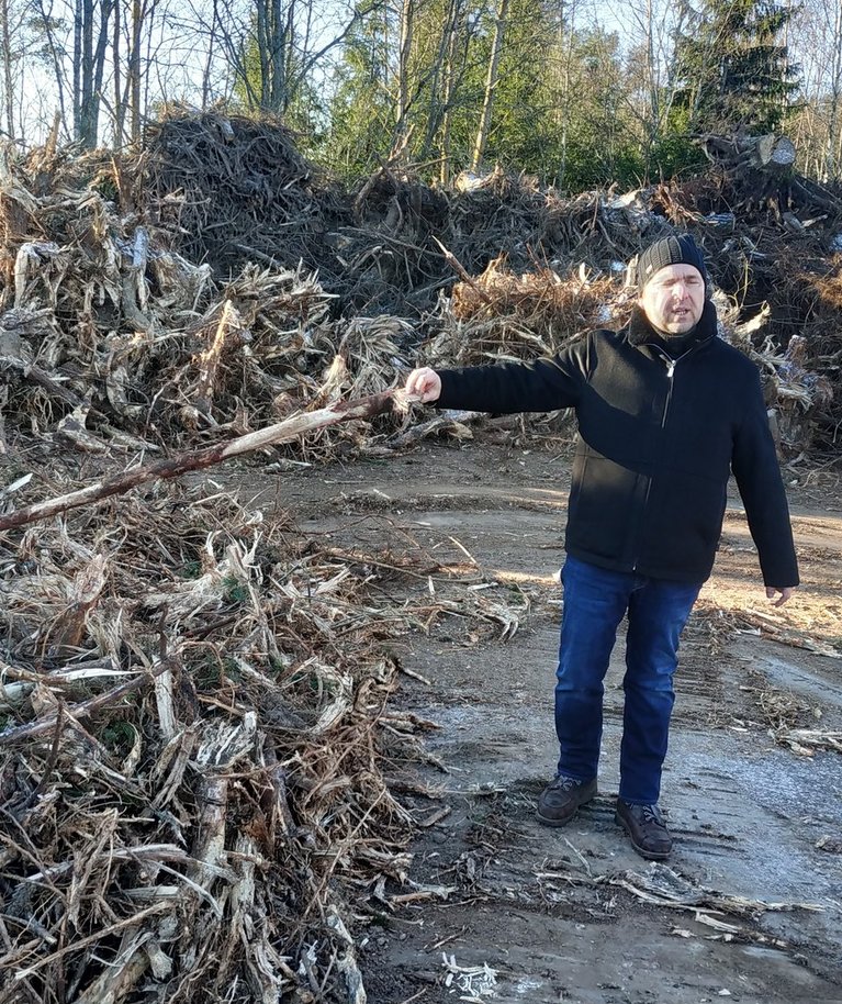 Puidukäitluse juht Erkki Naabel näitab, millised puujuured lähevad multšiks ning millised komposti.