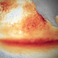 Эль-Ниньо обещает голодный год миллионам жителей Земли