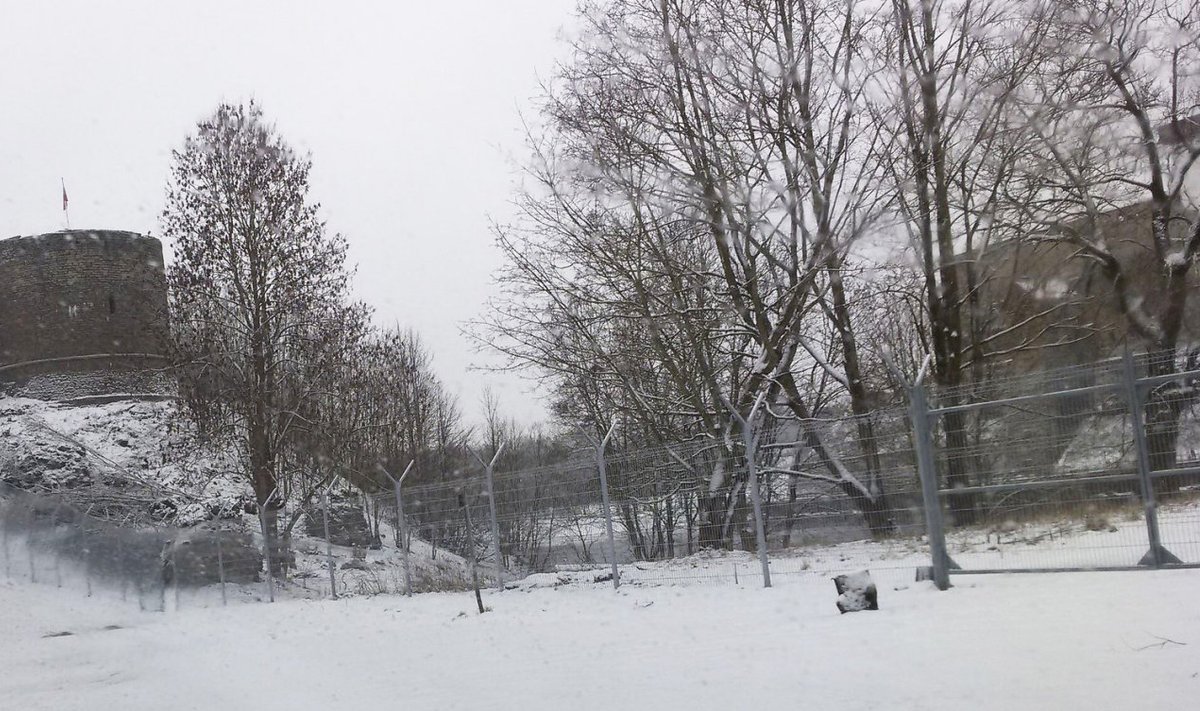 В Ивангороде строят забор на границе