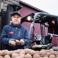 Talunikud räägivad: milline kartulisort kasvas sel aastal kõige paremini?