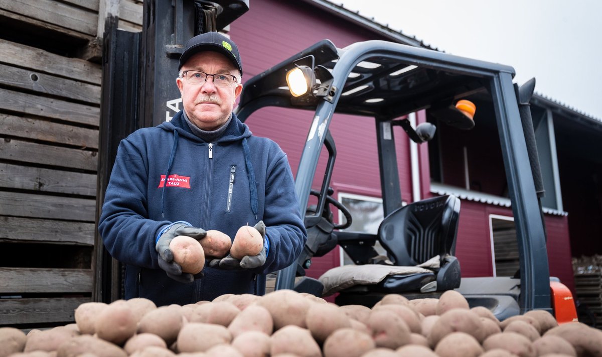 „Selle põuase suve kohta sain isegi korraliku saagi,“ on rahul Tartumaa kartulikasvataja Einar Saar, kes turustab oma mugulaid peamiselt Coopi kauplustes.