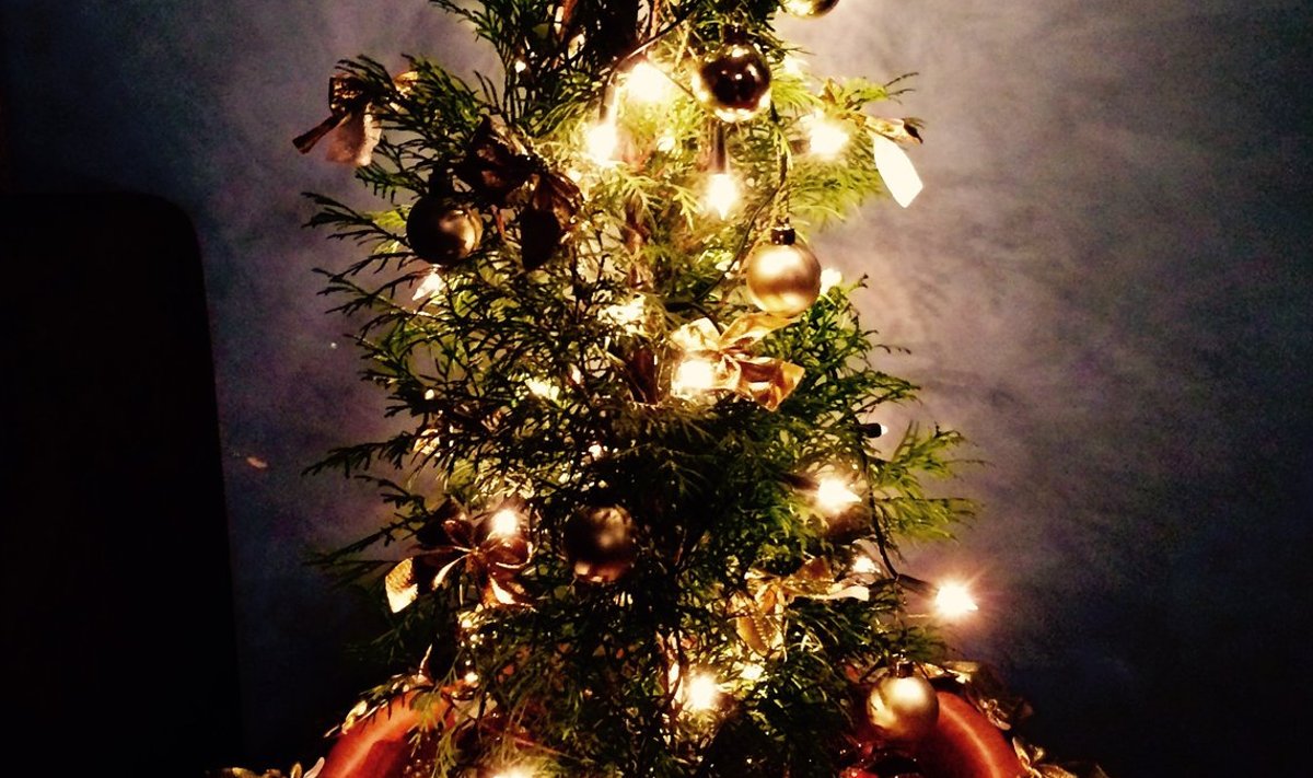 Fotovõistlus “Pühad minu kodus”: Kitsa kujuga jõulupuu sobib ideaalselt väiksesse koju