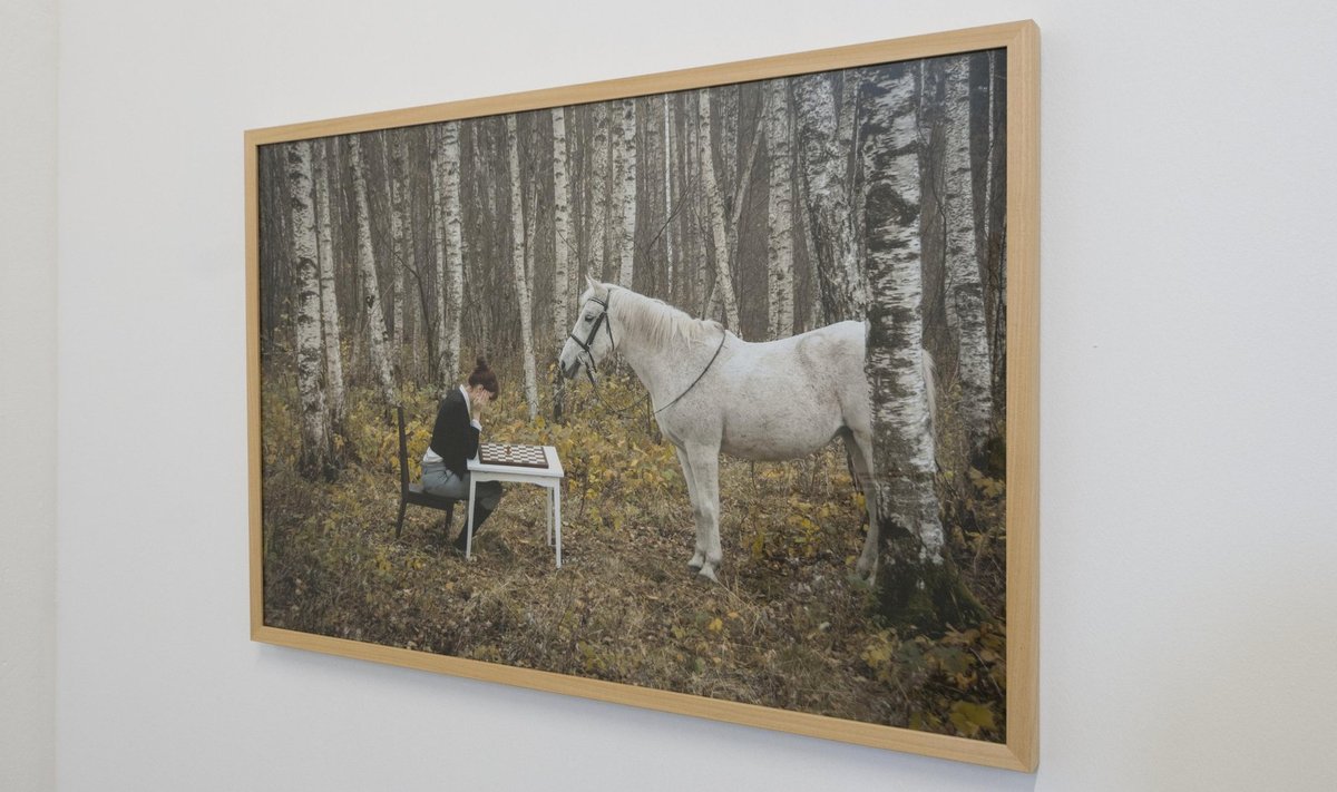 Poeetika meistriklass: Kristina Hansen mängib metsas hobusega malet.