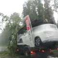 LUGEJAFOTOD: Suur puu kukkus uusi Mercedeseid vedavale veoautole ehk äikesetorm laastas kõige valusamalt Põlvamaad