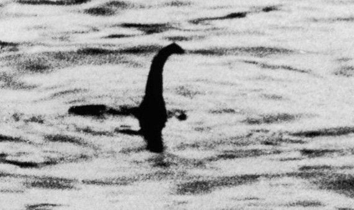 Nessy