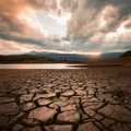 ФОТО | Каталония переживает сильнейшую засуху в истории
