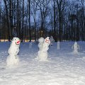 ФОТО | Сексуальный снеговик из Виймси стал поводом для обсуждения в Сети