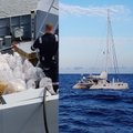 В Британии на катамаране под управлением эстонского капитана обнаружили груз кокаина на 110 млн евро