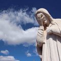 Võtab pisara silma: Brasiilia fenomenaalse kaotuse üle visatakse netis halastamatult nalja