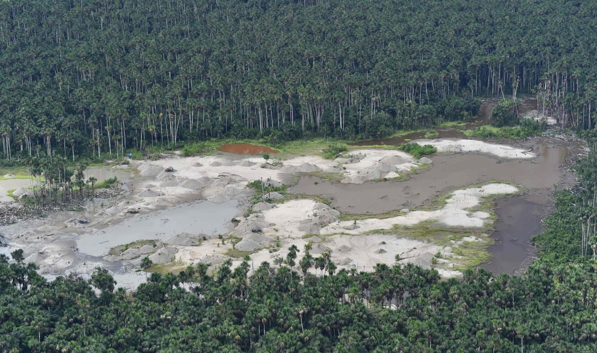 Illegaalse kaevandamise tõttu keemiliselt hävitatud mets