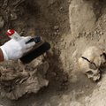 В Перу нашли останки 227 детей, принесенных в жертву более 500 лет назад. Это крупнейшее подобное захоронение