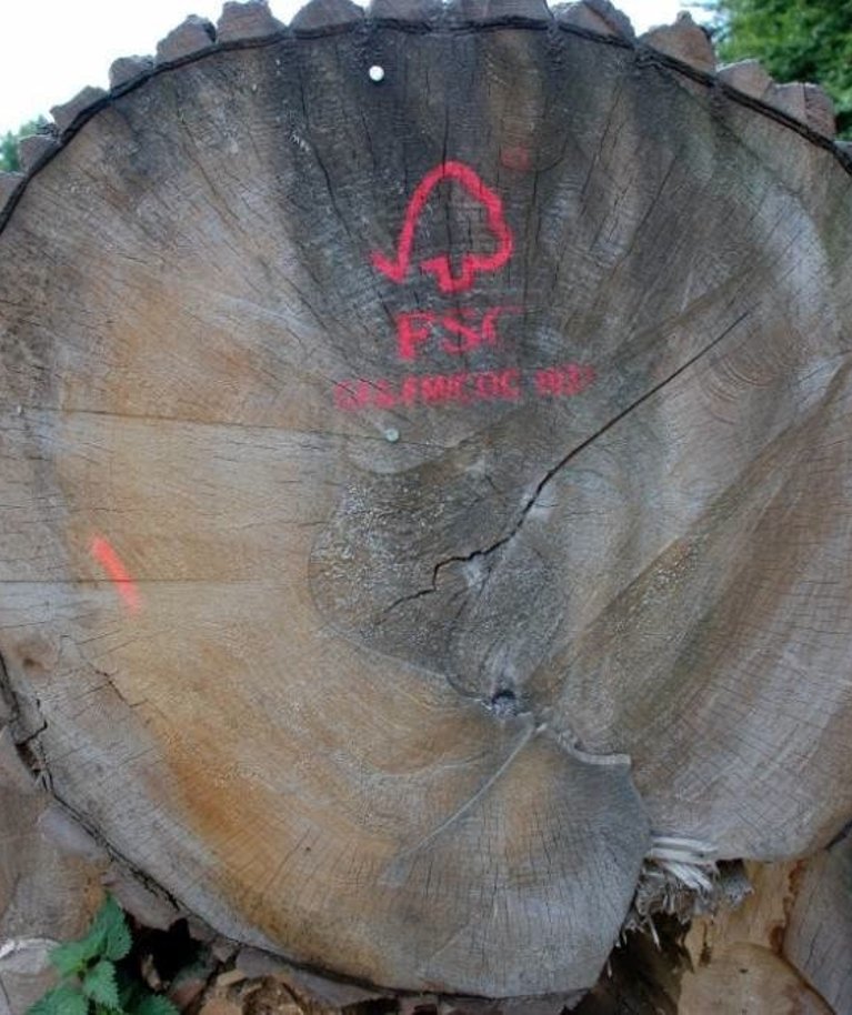 FSC märk toorainel näitab, et puidu varumisel on järgitud loodust säästvaid põhimõtteid.