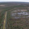 Eestis käib turba tootmine mühinal, nüüd on lõpuks esimest korda üks turbatootmisala ka taastatud