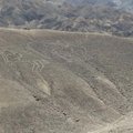 VIDEO | Arheoloogid avastasid droonilennul uued iidsed Nazca joonistused