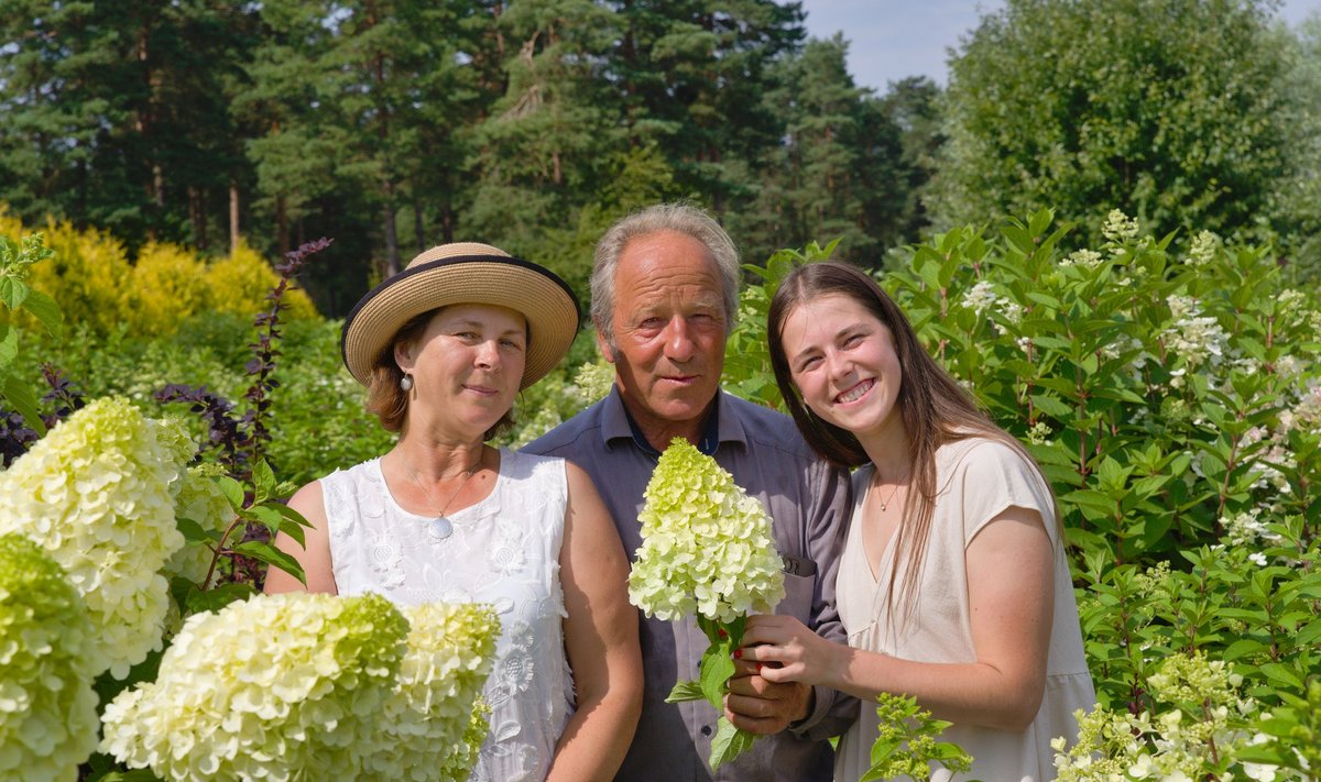 Anita ja Varis Kazaks oma tütre Selinaga hortensiate emataimede aias.