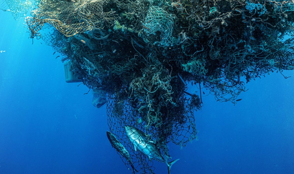 Üks filmi enim vastukaja tekitanud osa käsitleb mahajäetud kalavõrkude osakaalu mereprügis. Kuigi see ei pruugi olla nii suur, kui filmis väidetakse, on probleem reaalne ja oluline, sest neist saavad mereloomade lõksud ja nad lagunevad mikroplastiks.