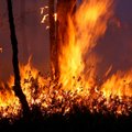 В Калифорнии внезапный лесной пожар угрожает городу, тысячи эвакуированы