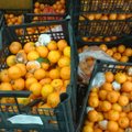 FOTO: Rakvere Maksimarketis oli müügil suur valik riknenud vilju