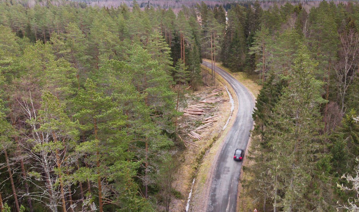 PERSONAALNE KOMP: Valminud uuring näitab, kui suur võiks olla õiglane kompensatsioon looduskaitsealuste metsade omanikele.