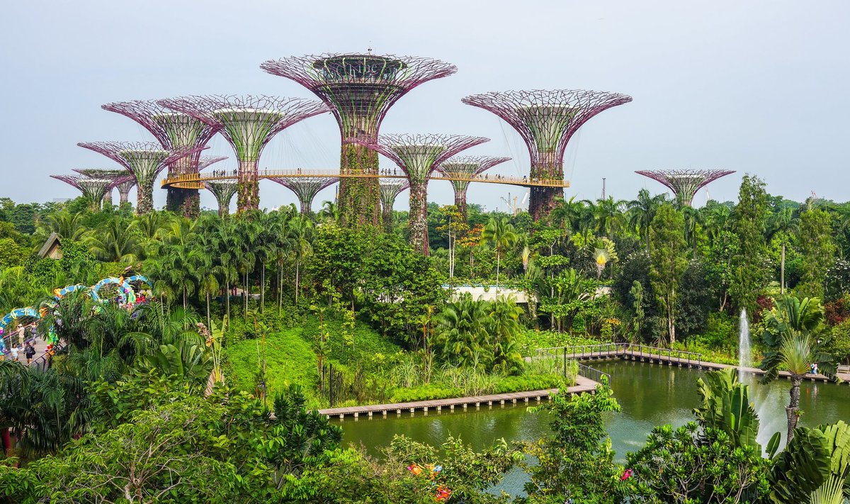 Singapuri botaanikaaed.