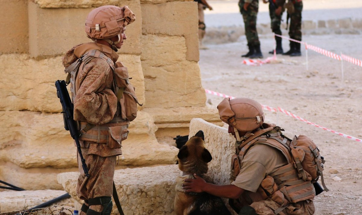 Vene sõdurid 2016. aasta mais Palmyras, Süürias