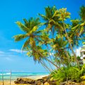 Шри-Ланка ввела бесплатные визы для туристов из 50 стран, включая и Эстонию