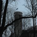ФОТО: Бело-черно-синий? При поднятии флага на башне Длинный Герман произошла ошибка