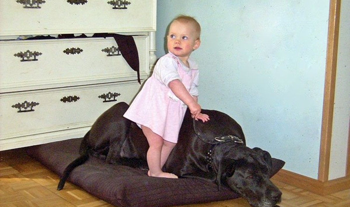 Laps ja koer