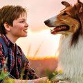 TREILER | Maailmakuulus kolli Lassie on tagasi ekraanidel
