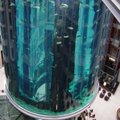 Veidraim lift või veidraim akvaarium - ei, mõlemad koos, Berliini AquaDomis