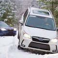 Subaru Forester: parem kui ei kunagi varem