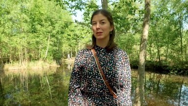 ВИДЕО | Где погулять в Таллинне в настоящем лесу, не покидая пределов города?